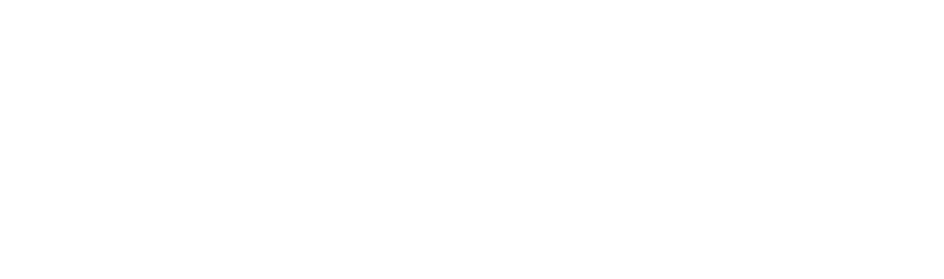 KADDASHI LLC